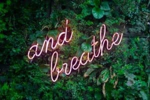 max van den oetelaar buymYm3RQ3U unsplash 1